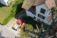 Faellen_Kran_008
