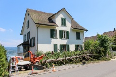Faellen_Kran_014