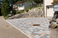 Hinwil_13-14_012