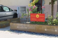 Gartenbau_Uster_Pflanzgefaesse_05