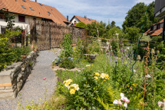 MS3_4879