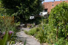 MS3_4881