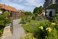 MS3_4884