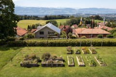 DJI_0555