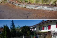 Gartenbau_Gruet_ZH_Sichtschutz