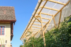 Tomatenhaus