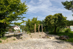 MS3_4901
